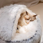 CozyDen