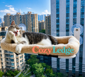 CozyLedge