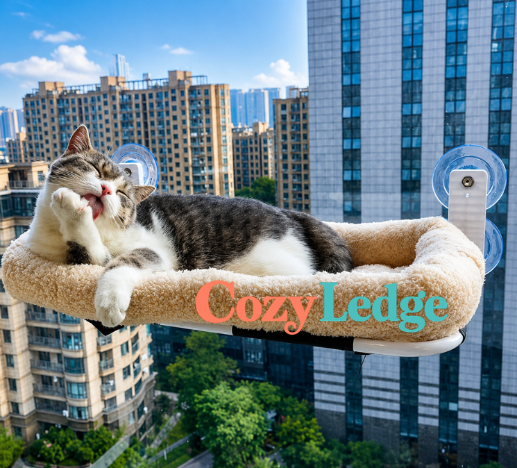 CozyLedge